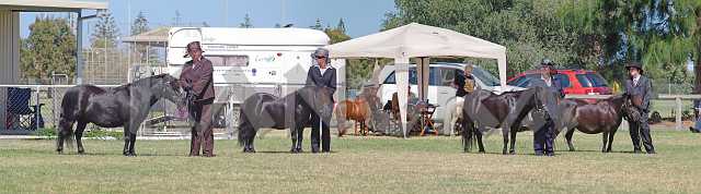 K106_1020 Stitch.jpg